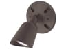 Endurance Outdoor LED Spot Light Architectural Bronze