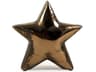 Distressed Metallic Bronze 10" Star Decorative Accent