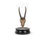 Antique Off-White / Black Gazelle Skull Sculpture