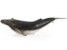 Distressed Black Humpback Whale Sculpture