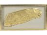 Right Golden Wing Shadow Box