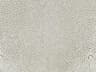 Option S1