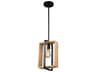 Artcraft Perris 1-Light Black Mini Pendant