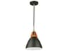 Artcraft Tote 1-Light Black Mini Pendant