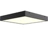 Alora Mood Sydney Matte Black Flush Mount