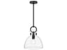 Alora Mood Waldo 1-Light Matte Black Dome Mini Pendant