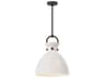 Alora Mood Waldo 1-Light Matte Black Dome Pendant