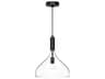 Alora Mood Belleview 1-Light Matte Black Mini Pendant