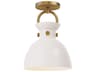 Alora Mood Waldo 1-Light Aged Gold Semi Flush Mount