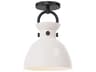 Alora Mood Waldo 1-Light Matte Black Semi Flush Mount