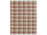 Amer Rugs Tartan Striped Area Rug