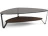 BDI Dino Glass Brushed Carbon Toasted Oak Coffee Table