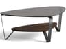 BDI Dino Glass Brushed Carbon Toasted Oak Coffee Table