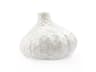 Villa & House Blanc de Chine Vase 11" Tamarindo Vase
