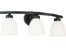 Capital Lighting Jameson 3-Light Matte Black Glass Vanity Light