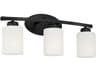 Capital Lighting Dixon 3-Light Matte Black Glass Vanity Light
