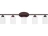 Capital Lighting Dixon 5-light Bronze Glass Vanity Light