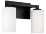 Capital Lighting Ravenwood 2-Light Black Iron Glass Vanity Light