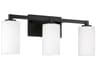Capital Lighting Ravenwood 3-Light Black Iron Glass Vanity Light