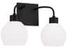 Capital Lighting Tanner 2-Light Matte Black Glass Vanity Light