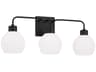 Capital Lighting Tanner 3-Light Matte Black Glass Vanity Light