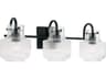 Capital Lighting Nyla 3-Light Matte Black Glass Vanity Light