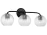 Capital Lighting Dolan 3-Light Matte Black Glass Vanity Light