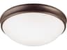 Capital Lighting 2-Light Oil Rubbed Bronze Glass Bowl Flush Mount