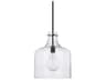 Capital Lighting Crawford 1-Light Matte Black Glass Mini Pendant