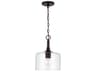 Capital Lighting Carter 1-Light Bronze Glass Drum Mini Pendant