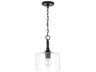 Capital Lighting Carter 1-Light Matte Black Glass Drum Mini Pendant