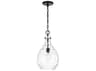 Capital Lighting Brentwood 1-Light Matte Black Glass Mini Pendant