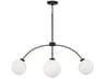 Capital Lighting Amos 4-Light Black Iron Globe Chandelier