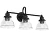 Capital Lighting Baxter 3-Light Matte Black Glass Vanity Light