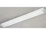 Canarm Es Fluorescent 2-light White Linear Flush Mount
