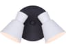 Canarm Radley 2 -light Black Spot Light