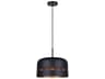 Canarm Miles 1 -light Black Drum Pendant