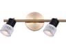Canarm Elsee 2 -light Gold Cylinder Track & Rail Light