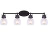 Canarm Carson 4 -light Black Vanity Light