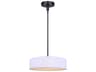 Canarm Carmynn 1 -light Black LED Drum Pendant