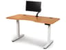 Copeland Invigo Standing Desk