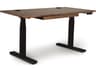 Copeland Invigo Standing Desk