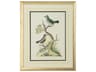 Chelsea House Cain Birds F Wall Art