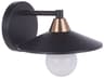 Craftmade Isaac 1-Light Flat Black Satin Brass Vanity Light