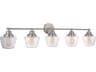 Craftmade Essex 5-Light Brushed Polished Nickel Glass Vanity Light