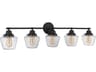 Craftmade Essex 5-Light Flat Black Glass Vanity Light
