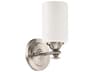 Craftmade Dardyn 1-Light Brushed Polished Nickel Glass Vanity Light
