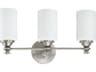 Craftmade Dardyn 3-Light Brushed Polished Nickel Glass Vanity Light