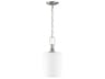 Craftmade Dardyn 1-Light Brushed Polished Nickel Glass Cylinder Mini Pendant