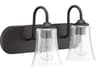 Craftmade Gwyneth 2-Light Flat Black Glass Vanity Light